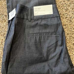 NWT Ann Taylor Denim Trousers 2P